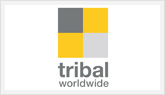 TribalDdbİstanbul Dijital Reklam Ajansı