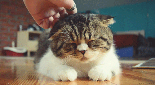 Youtube GIF Oluşturma Aracını Test Ediyor