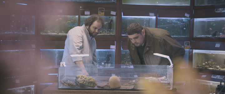 Uluslararası Af Örgütü’nden Dikkat Çeken Proje: #GayTurtle