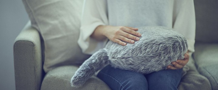 Kedi Kuyruklu Robotik Yastık: Qoobo