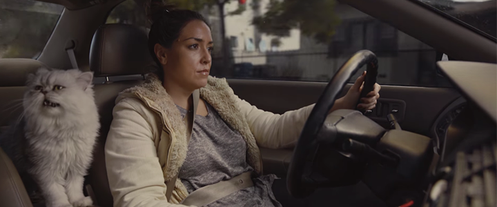İkinci El Otomobil Reklamı Nasıl Viral Oldu?