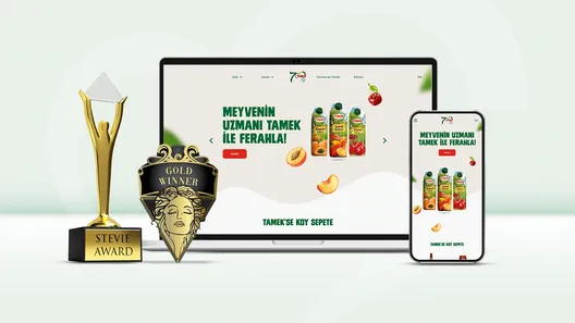 Gricreatıve, Tamek Web Sitesi İle İkinci Kez Zirvede!