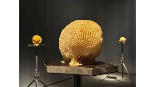 6.İstanbul Dijital Sanat Festivali, Dünyaca Ünlü Sanatçıların Eserlerini Bir Araya Getiriyor