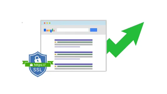SSL Nedir? SSL Türleri Nelerdir?