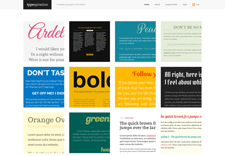  Bold Web Sitesi Örnekleri 