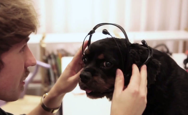 köpekleri konuşturan teknoloji
