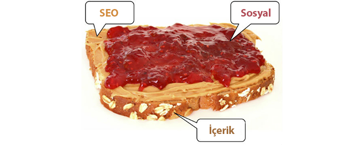 site üzeri seo