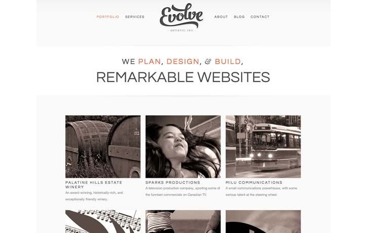 evolve en iyi web sitesi örneği