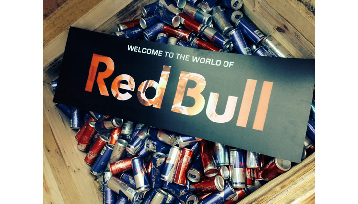 red bull youth republic