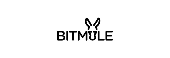 bitmule logo tasarımı