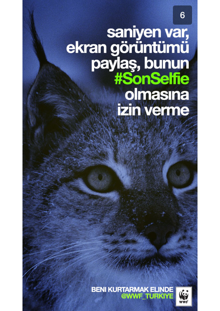 wwf snapchat kampanya