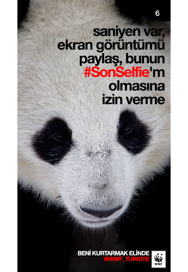 wwf sonselfie