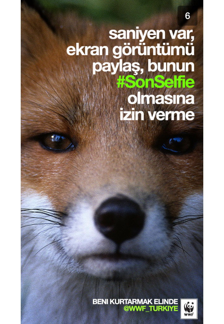wwf sosyal medya kampanya