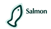 salmon en büyük dijital ajanslar