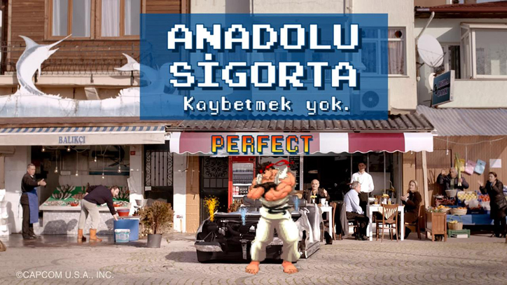 anadolu sigorta aduket
