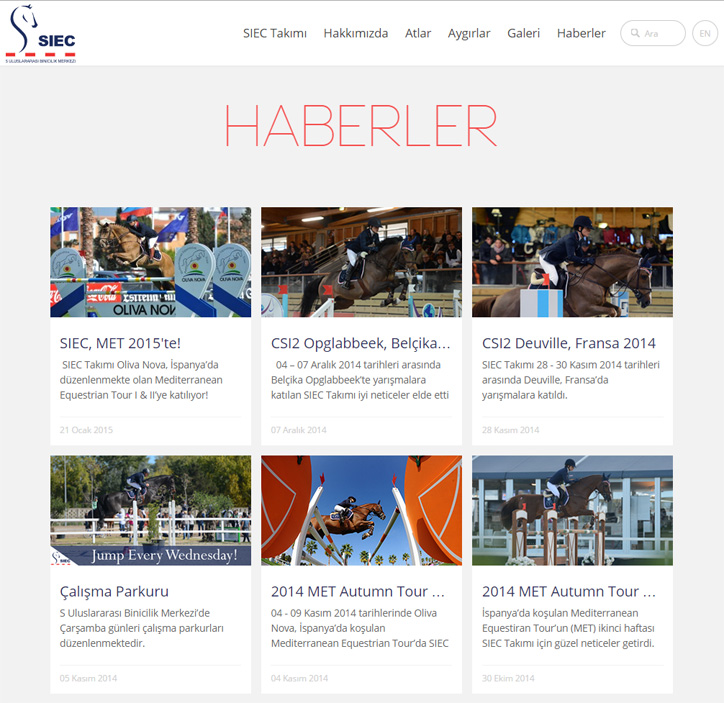 SIEC Web Sitesi diverseffect