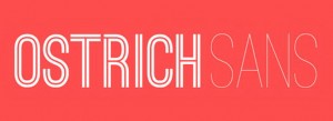 baron neue webfont baron neue webfont