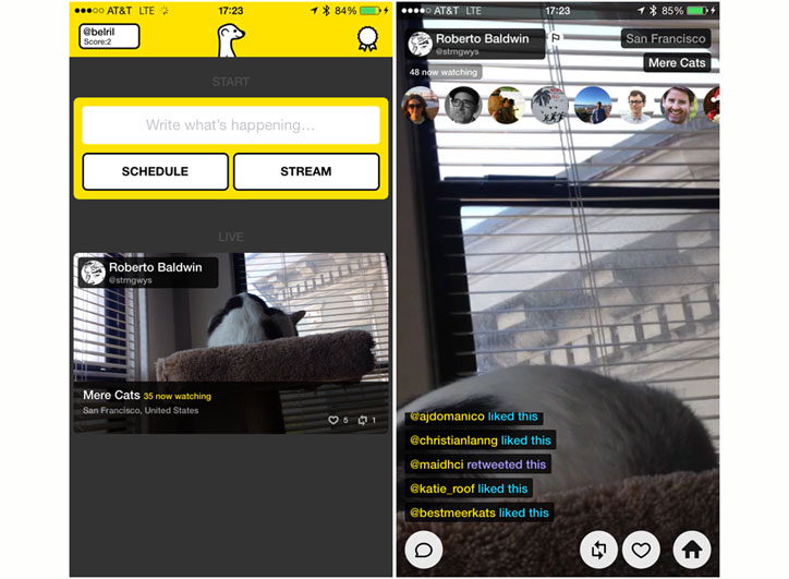 Meerkat uygulaması