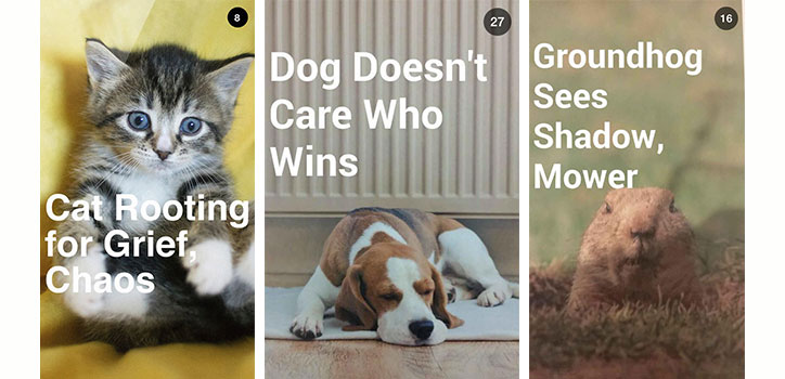 audi snapchat