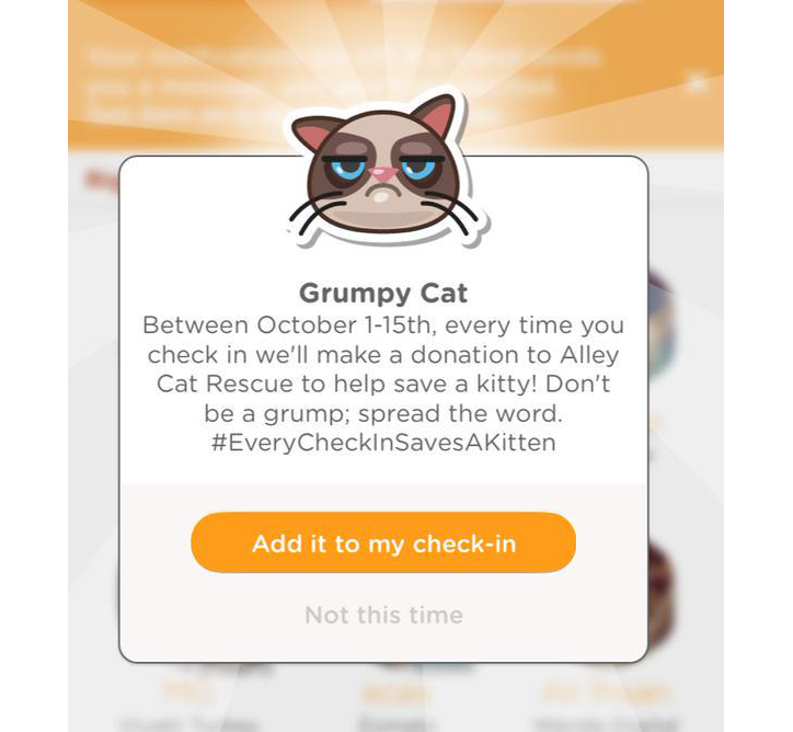 swarm grumpy cat