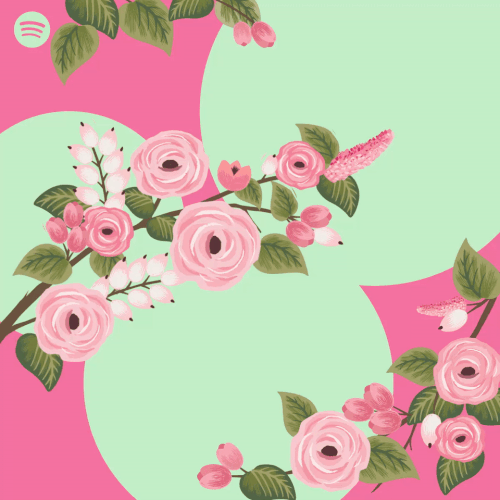 sosyal medya gif spotify