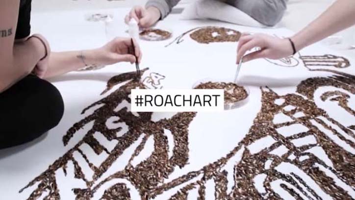 raid roachart