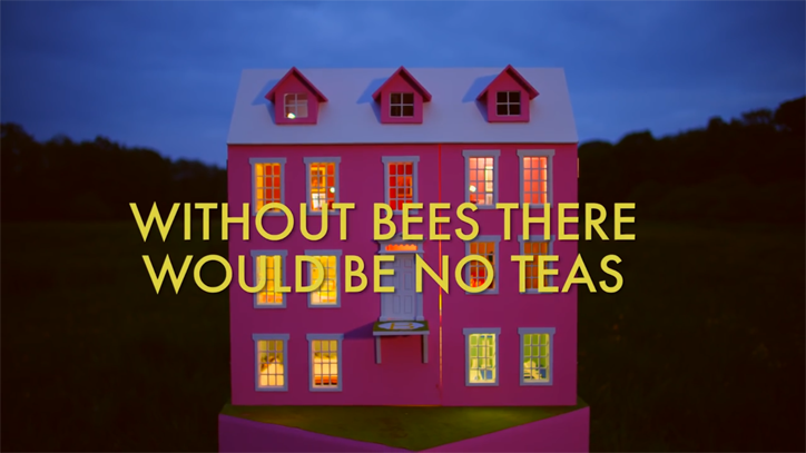 wes anderson arilara ozel reklam