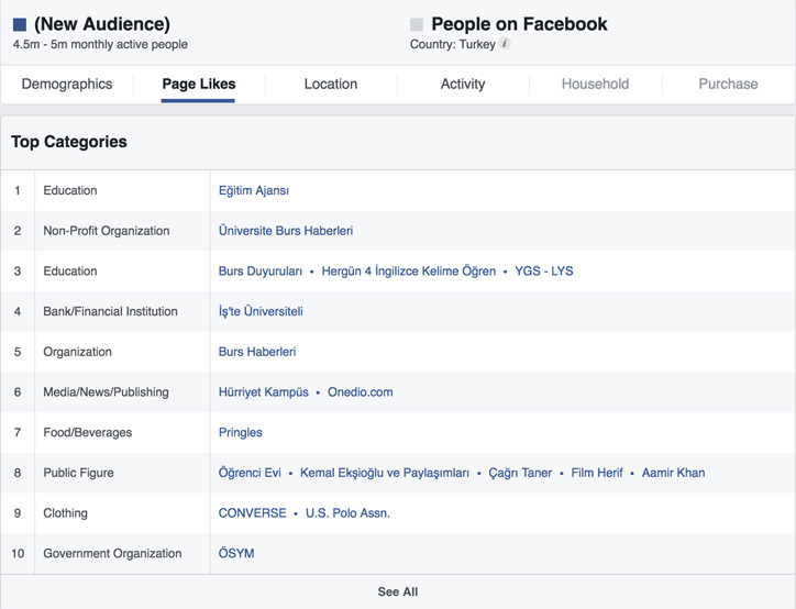 mbsays-Facebook_AudienceIns