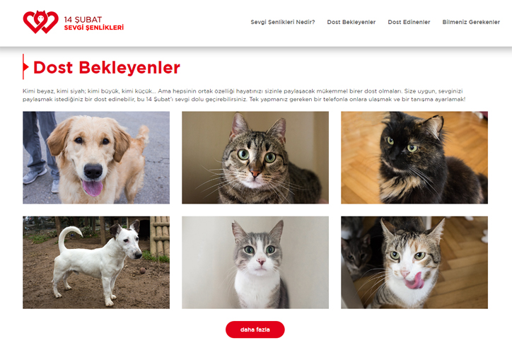 sevgi-senlikleri-royal-canin