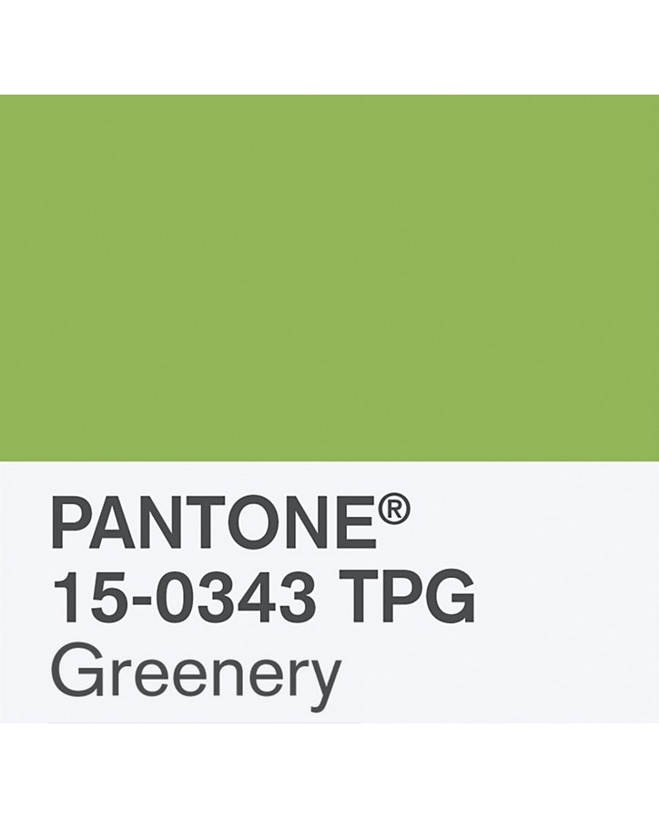 pantone-renk-kataloğu