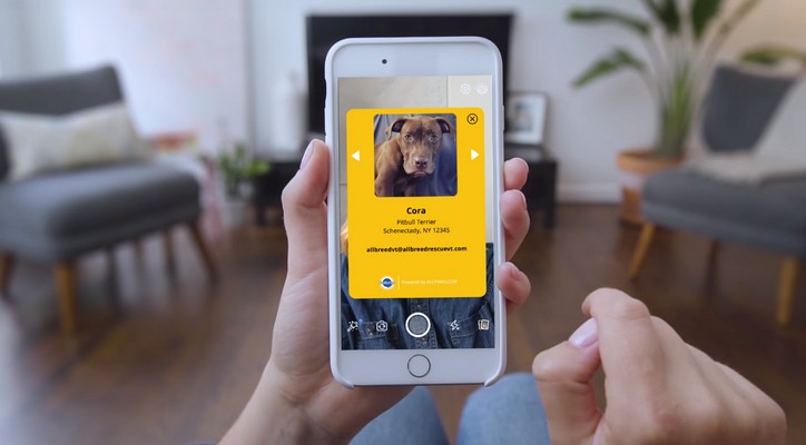 pedigree-facebook-kamera-efekti