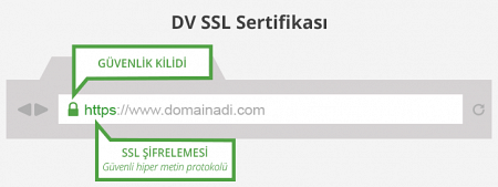 Domain Validation Certificate - DV SSL