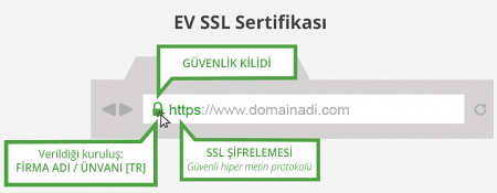 Extended Validation Certificate - EV SSL