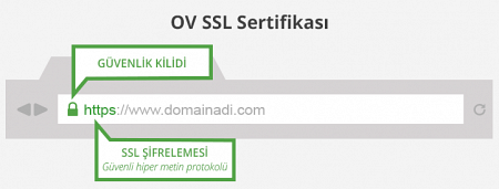 Organization Validation Certificate - OV SSL