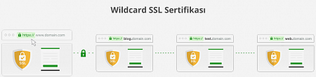 Wildcard SSL Sertifikaları